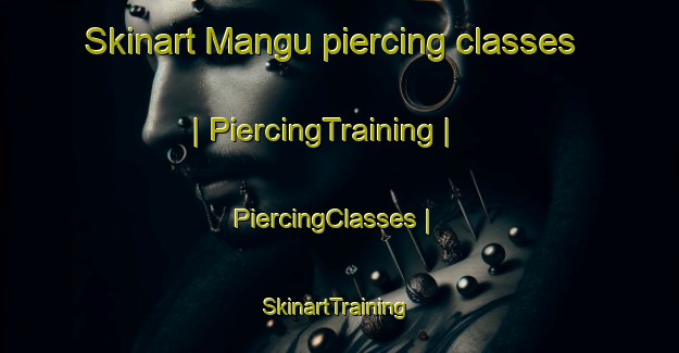 Skinart Mangu piercing classes | PiercingTraining | PiercingClasses | SkinartTraining-the Democratic Republic of the Congo